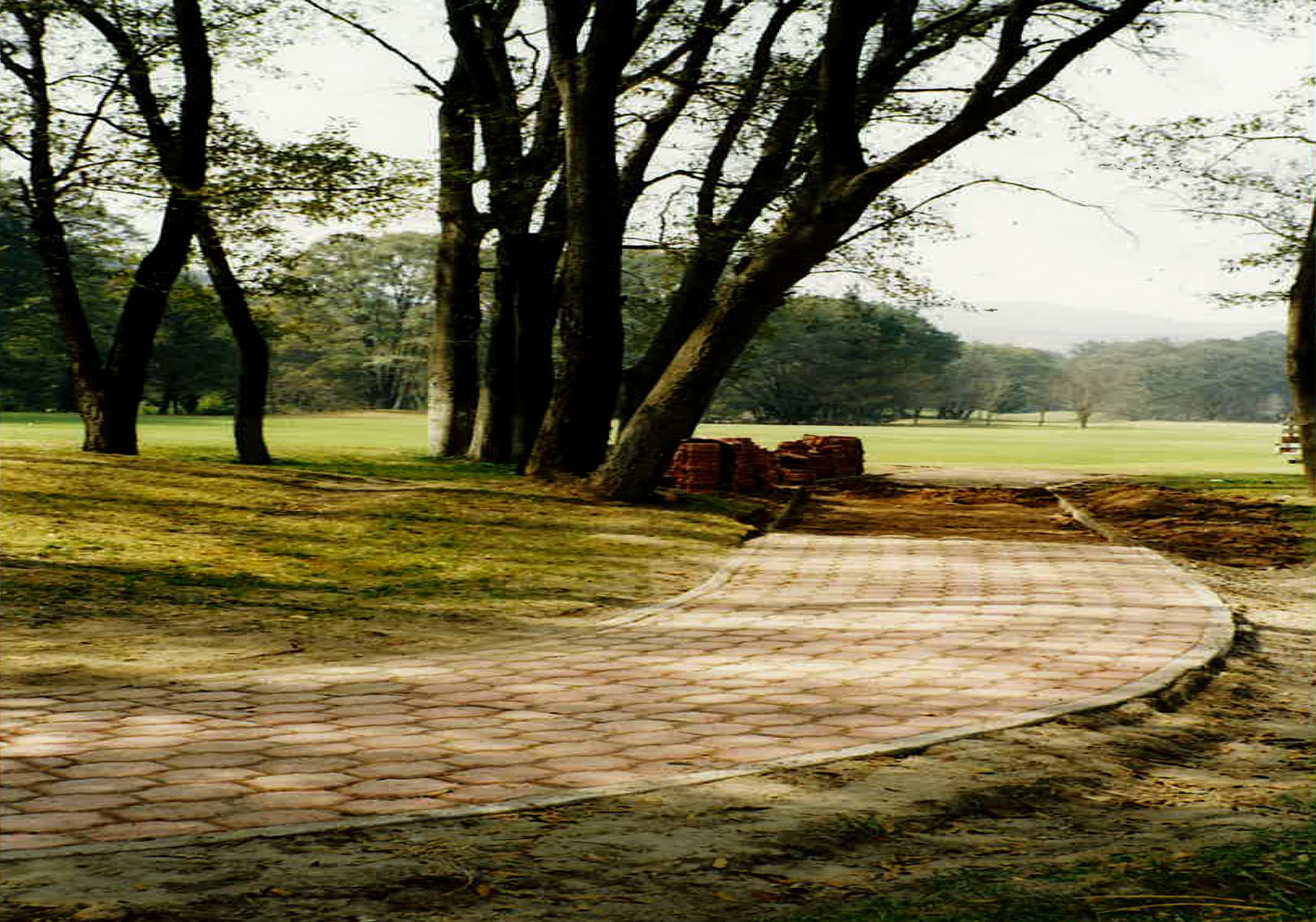 Campo de golf con el camino de adocreto entre los árboles